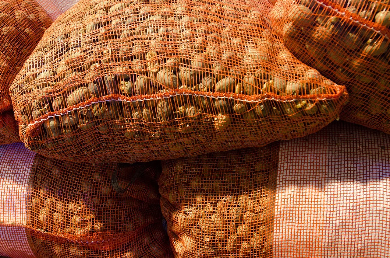 Photo of Pecan Acres