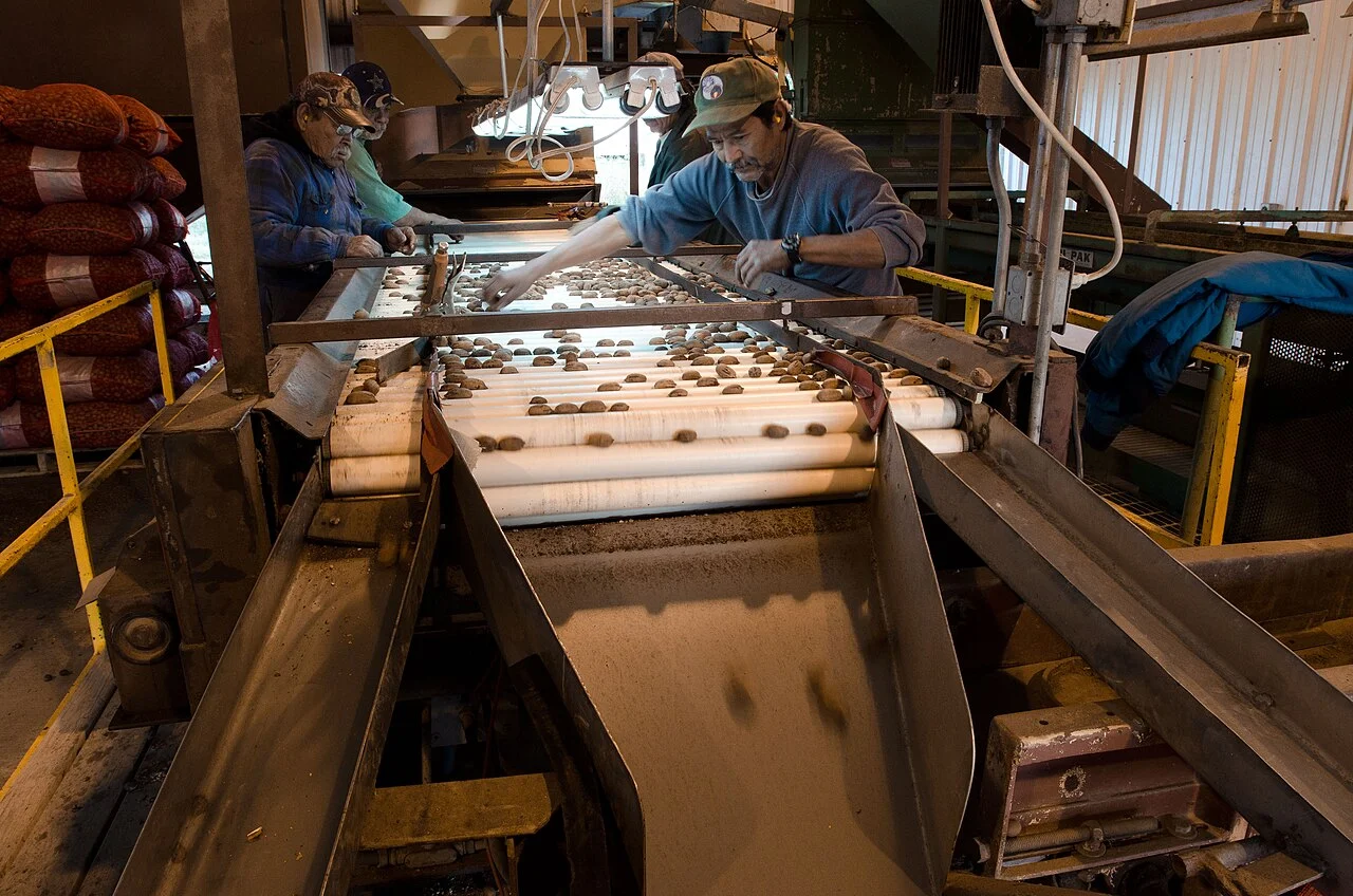 Photo of Pecan Acres