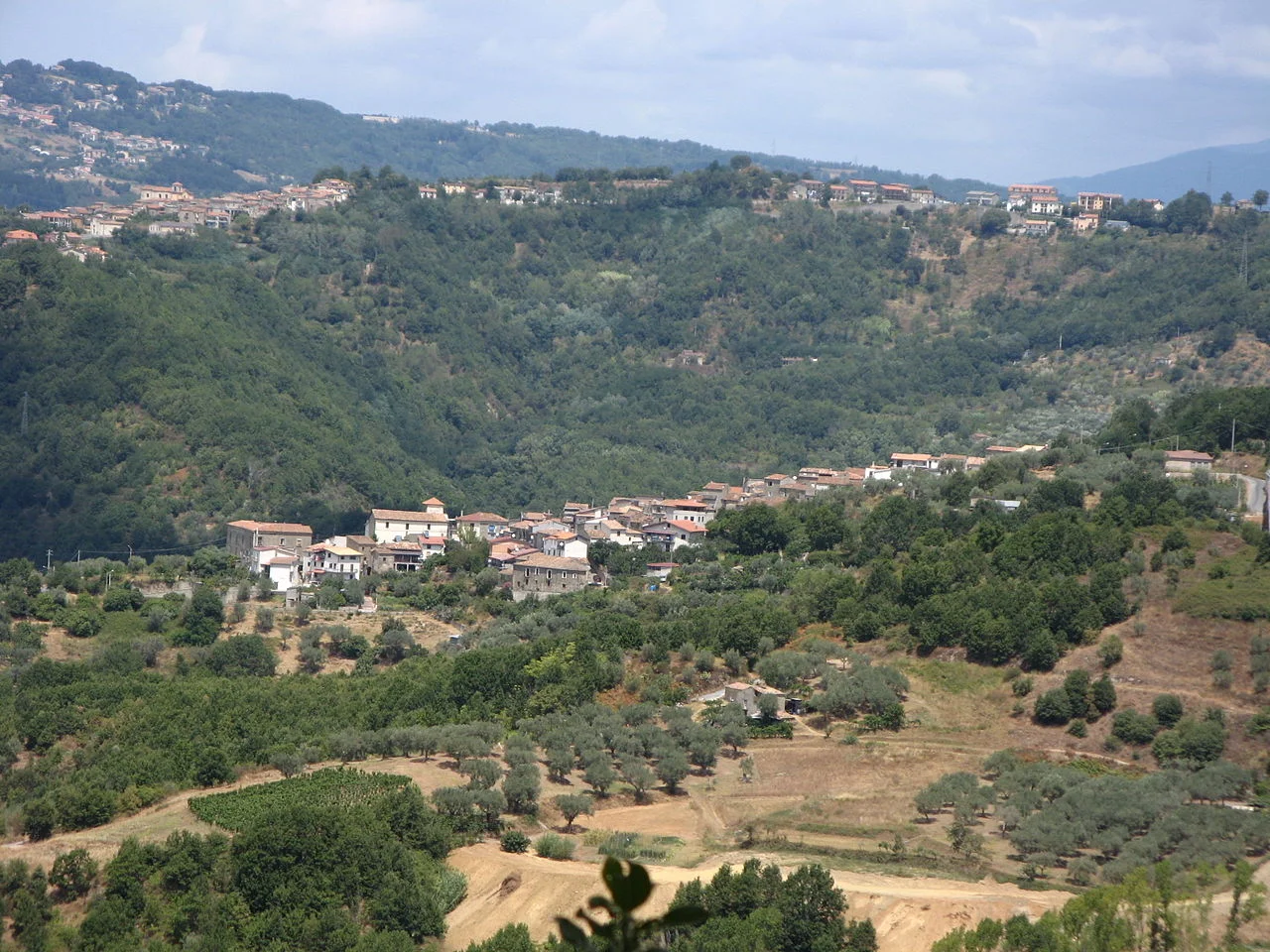 Photo of Pedivigliano