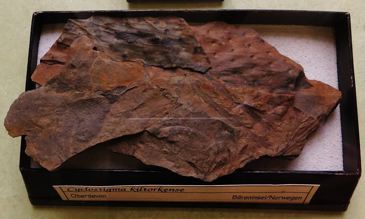 Photo of Pedras de Fogo