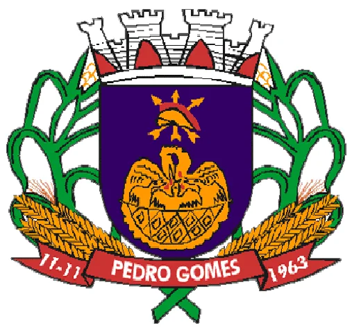 Photo of Pedro Gomes