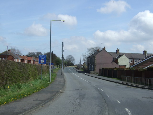 The Parade, Pelton