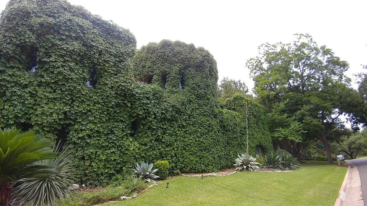 Photo of Pemberton Heights