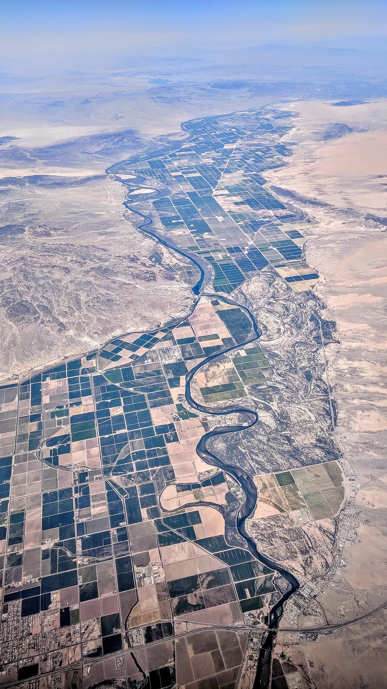 Photo of Peña Flores (Palo Verde)