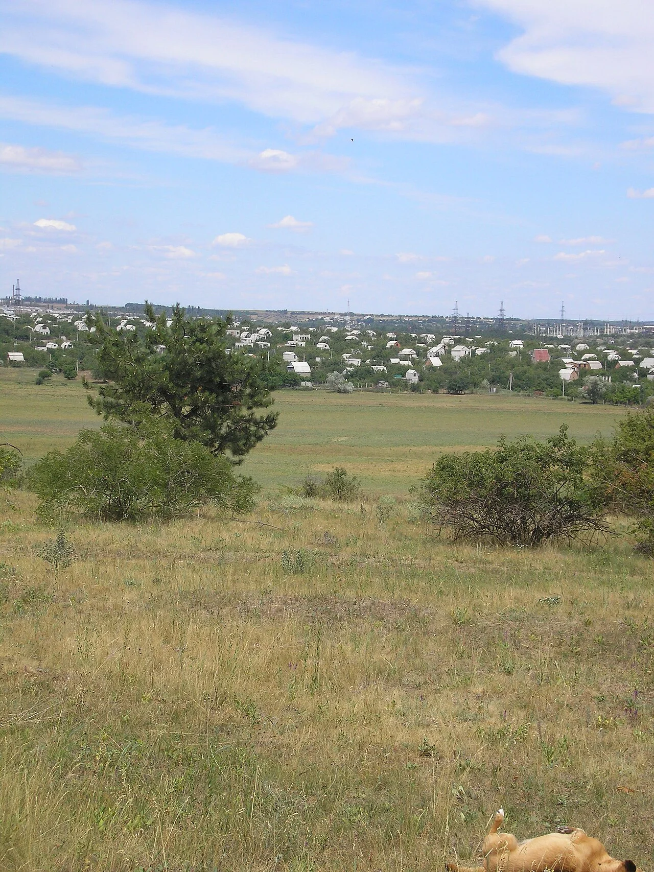 Photo of Peresadivka