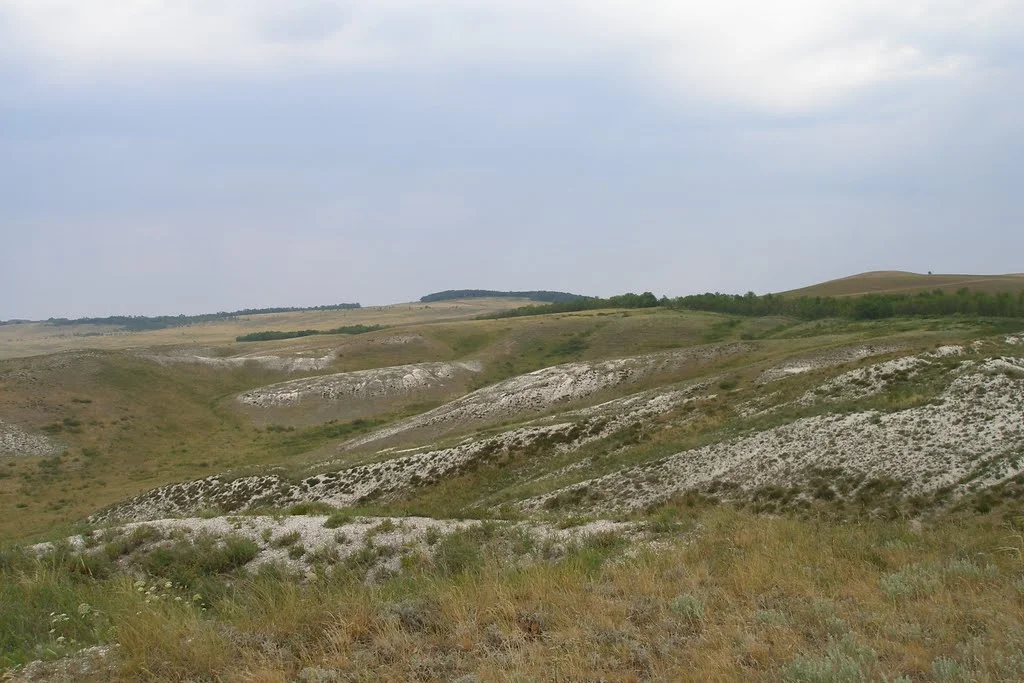 Photo of Perevolotskiy