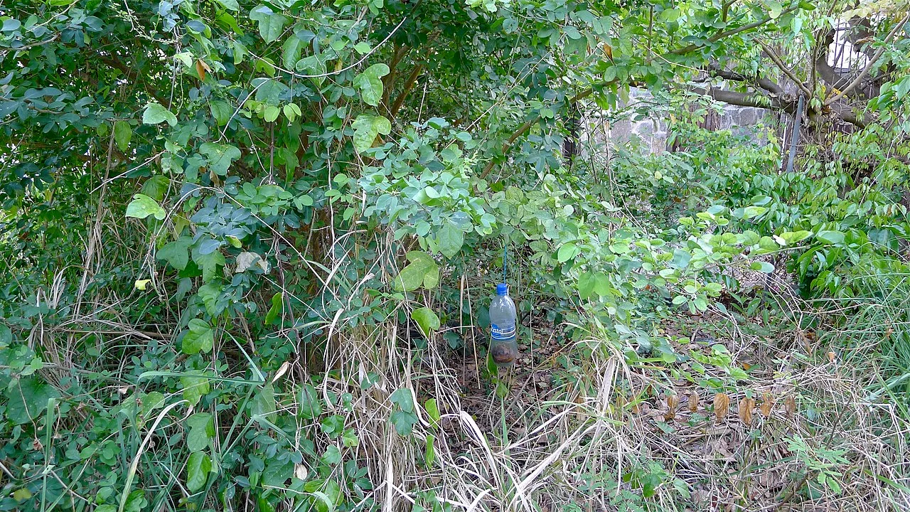 Photo of Péreybère