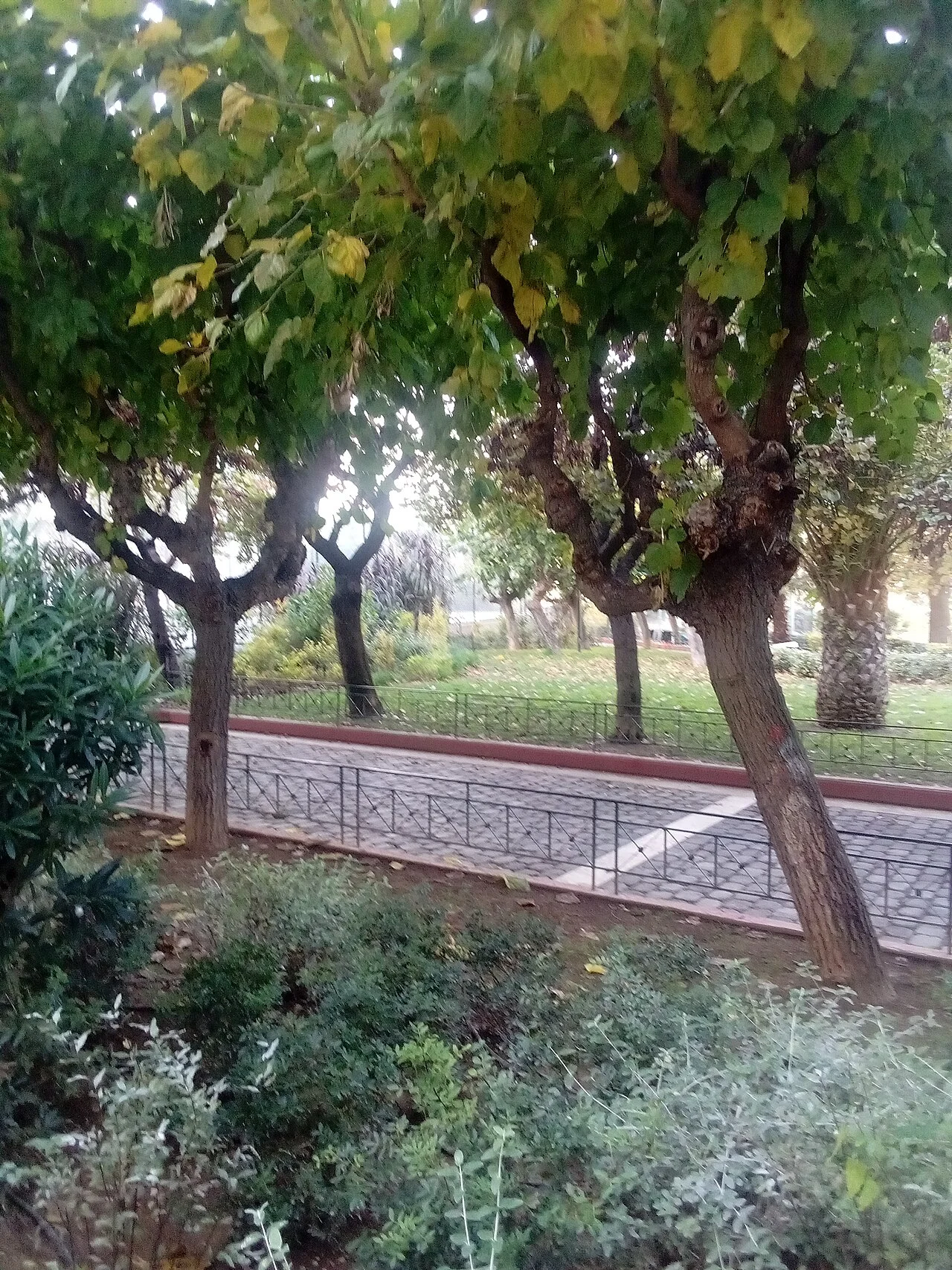 Photo of Perivolákion