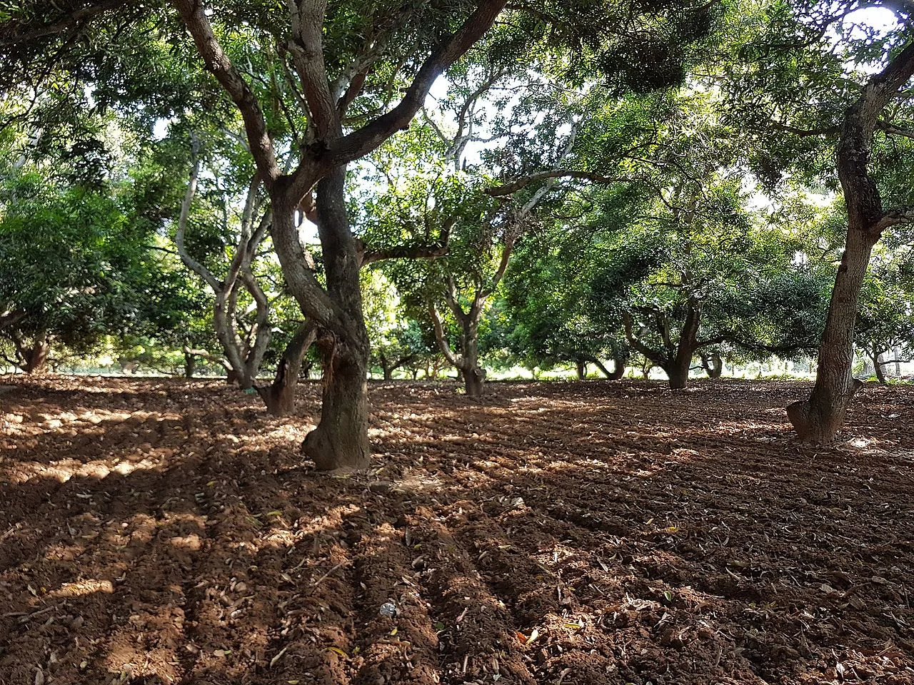 Photo of Periyakulam