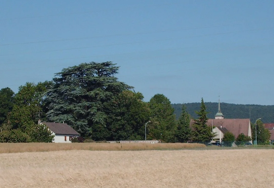 Photo of Perrigny-lès-Dijon