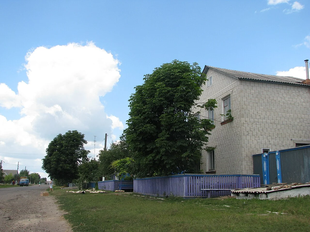 Photo of Pershotravneve