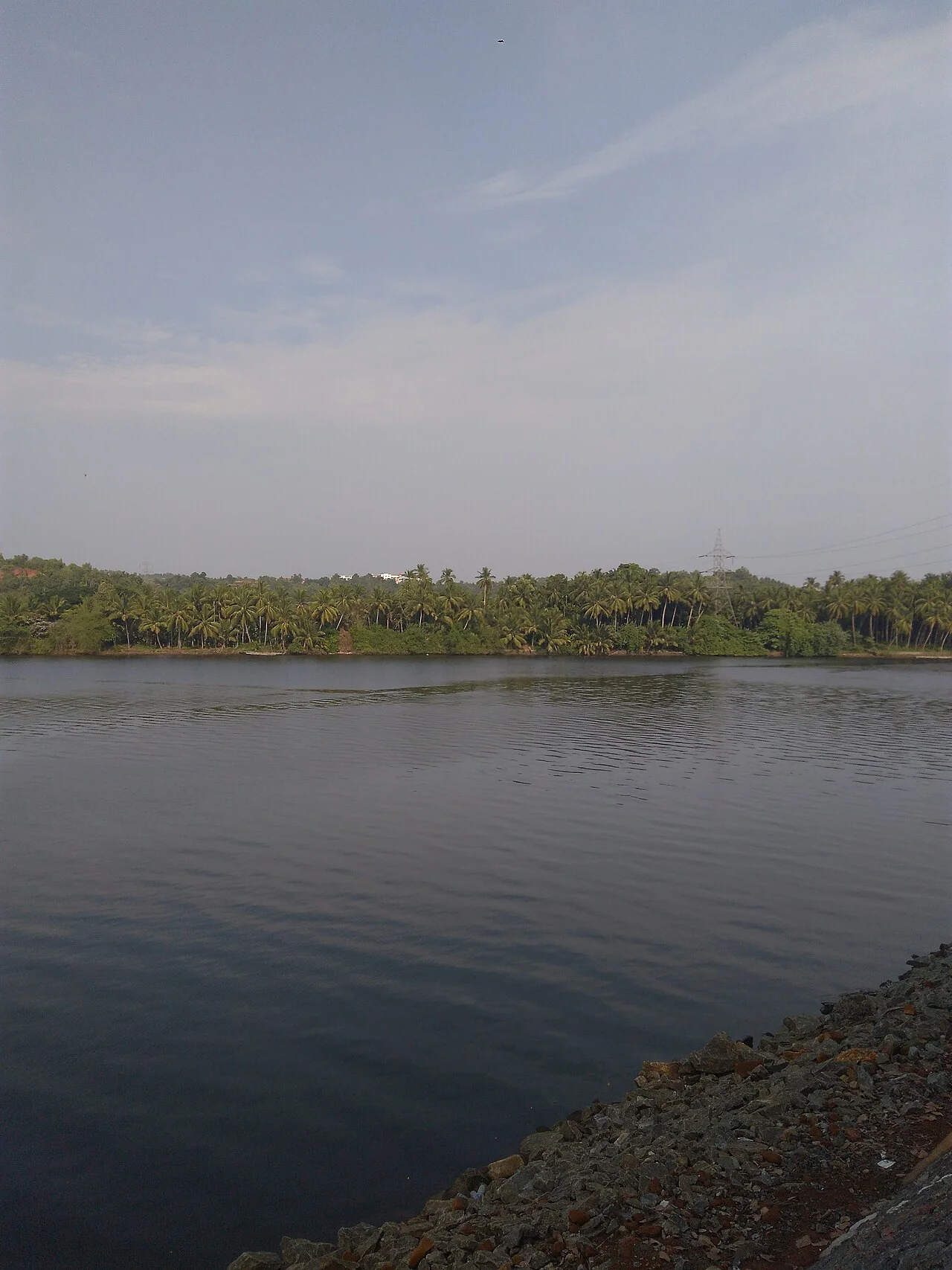 Photo of Perumanna