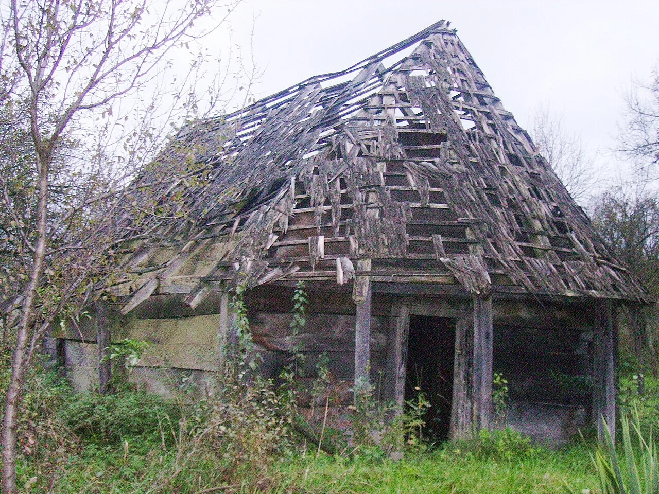 Photo of Peştişu Mic