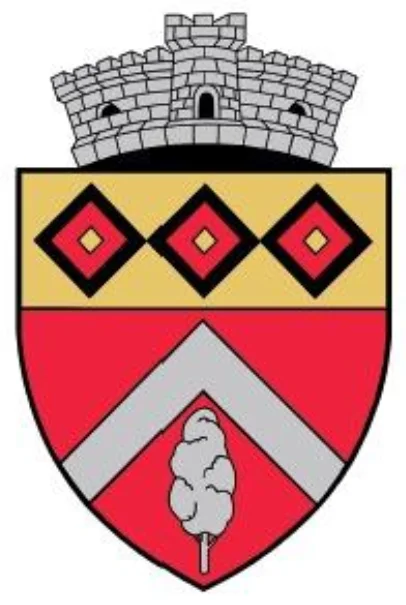 Photo of Peştişu Mic