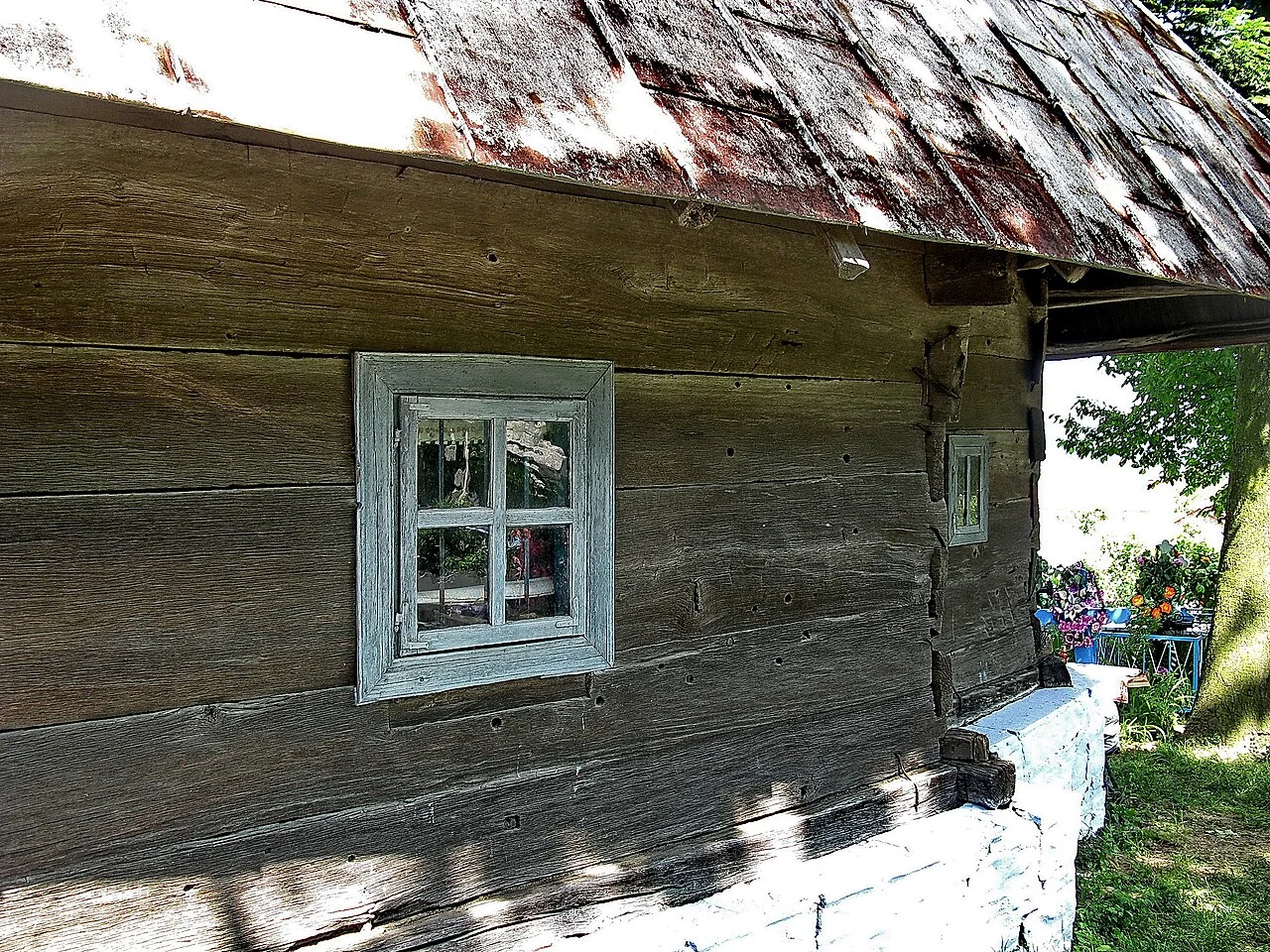 Photo of Petrashivka