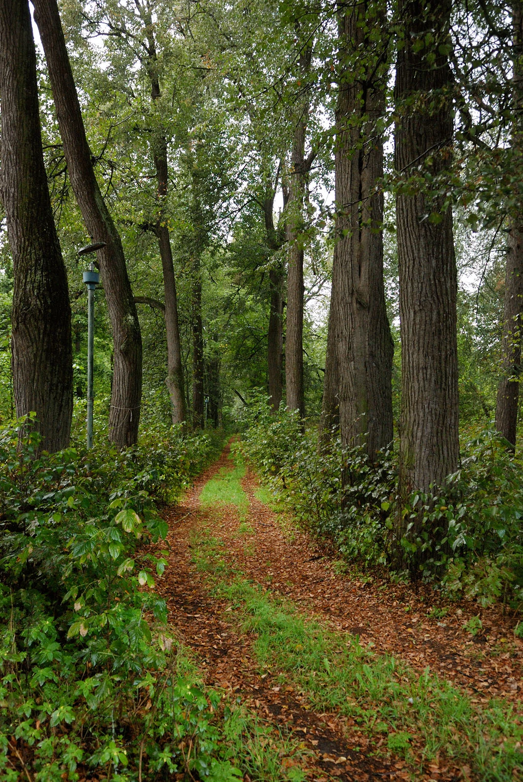 Photo of Petrovo-Dal’neye