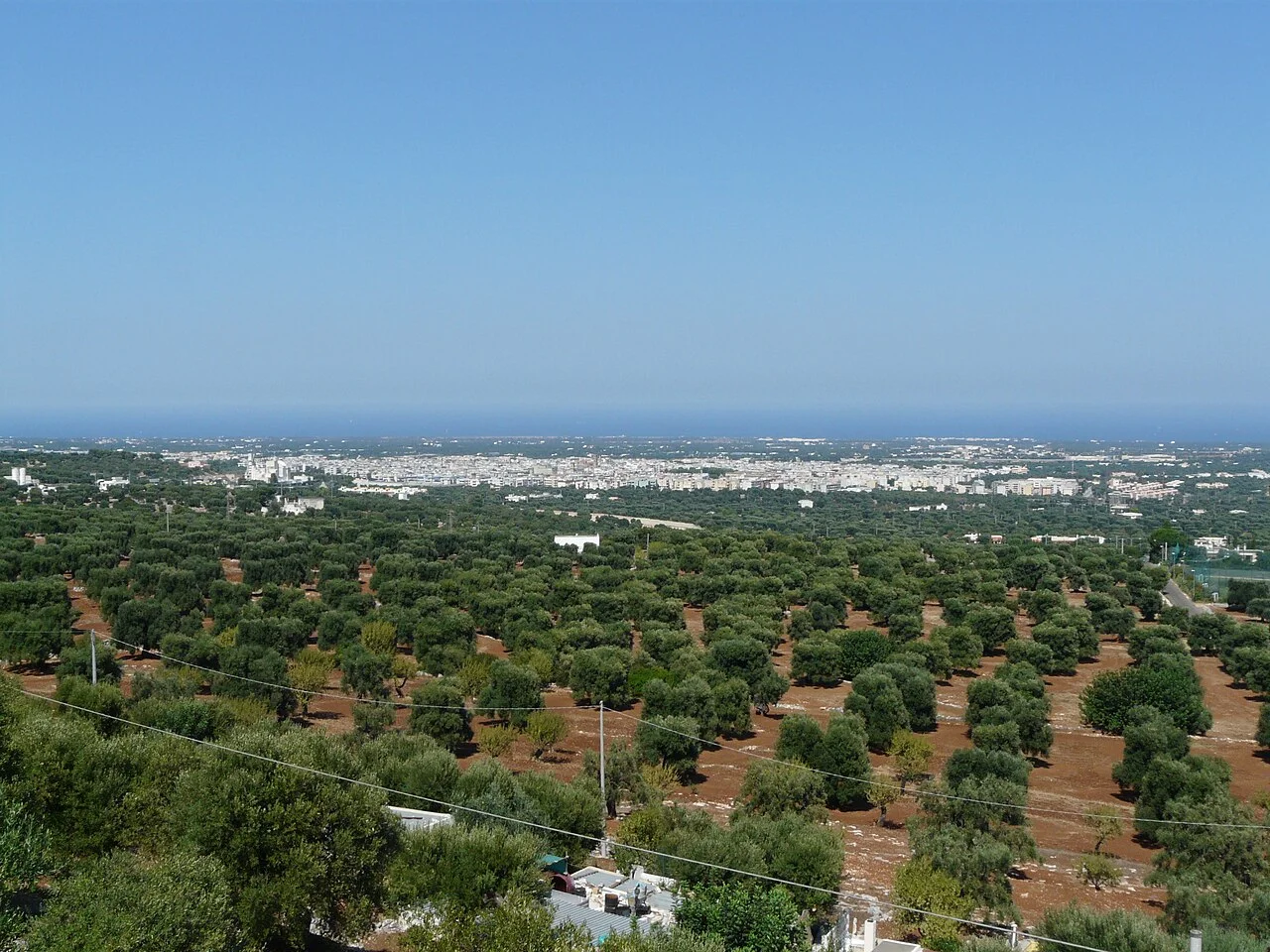 Photo of Pezze di Greco