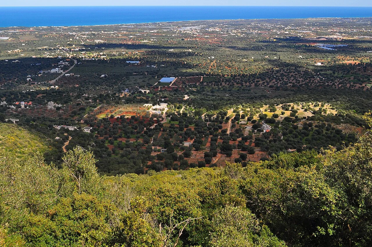Photo of Pezze di Greco