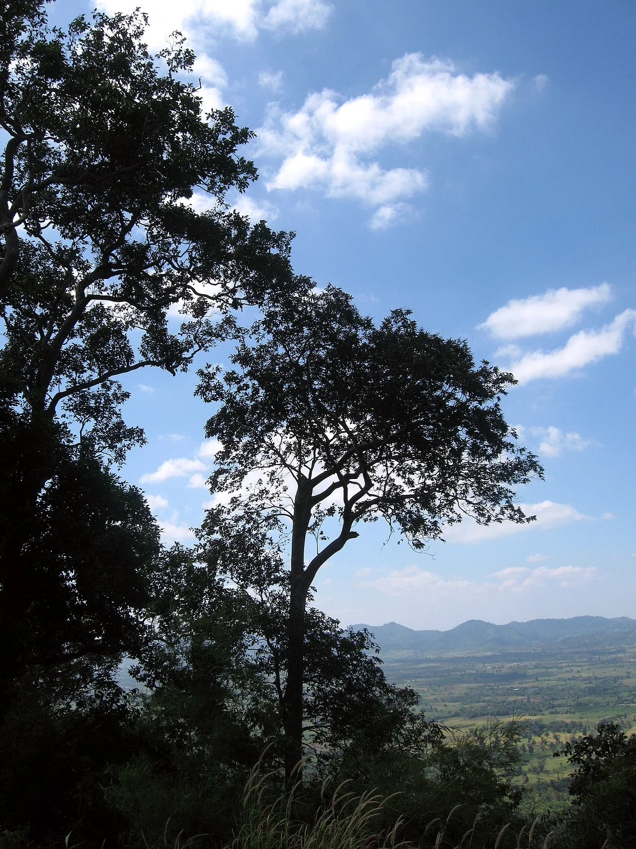 Photo of Phakdi Chumphon