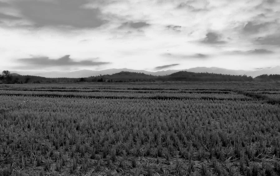 Photo of Phaya Mengrai