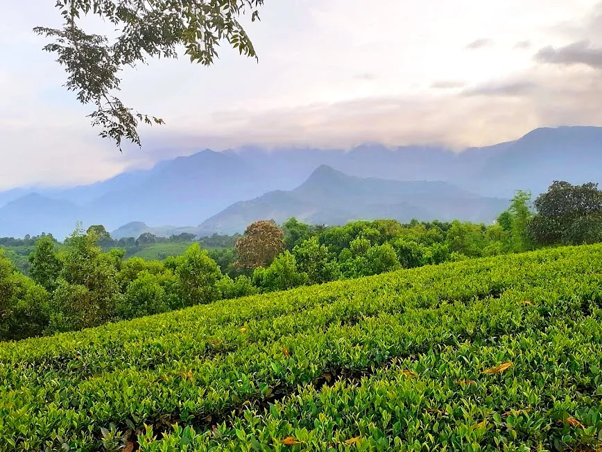 Photo of Phú Xuyên