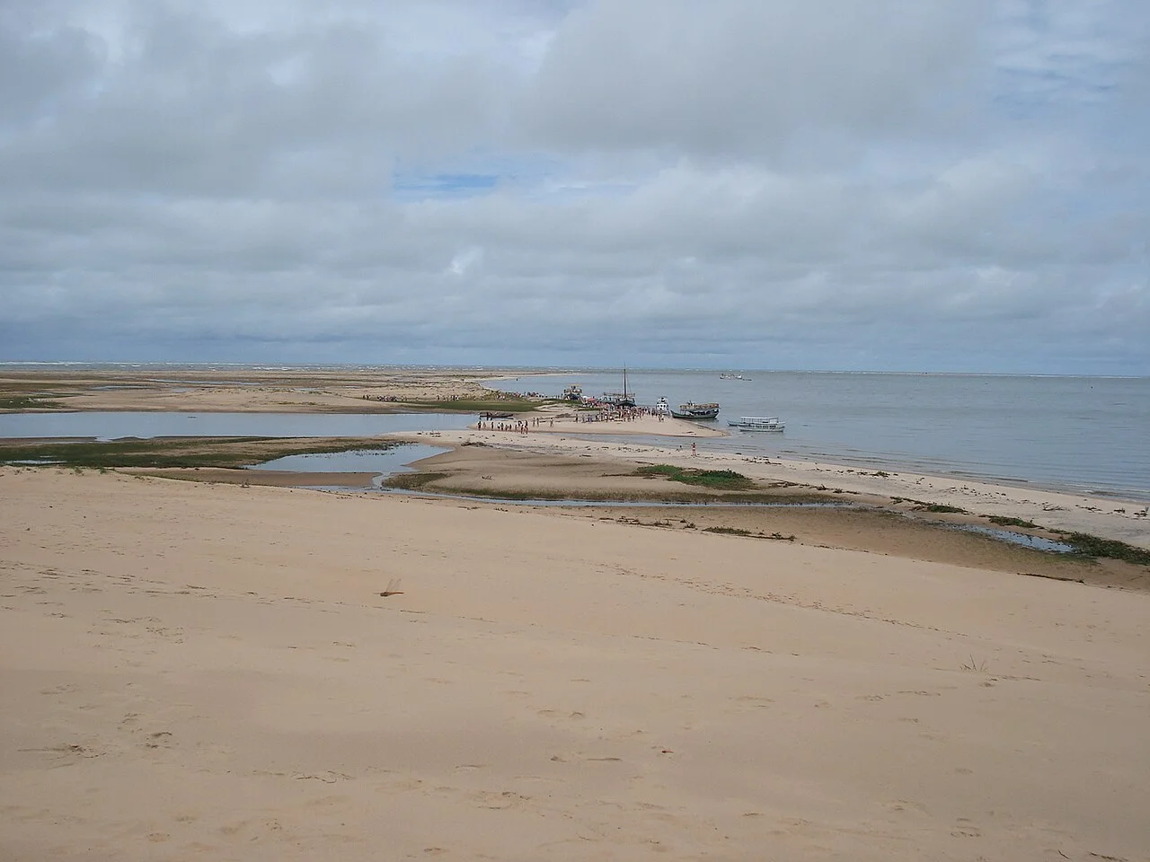 Photo of Piaçabuçu