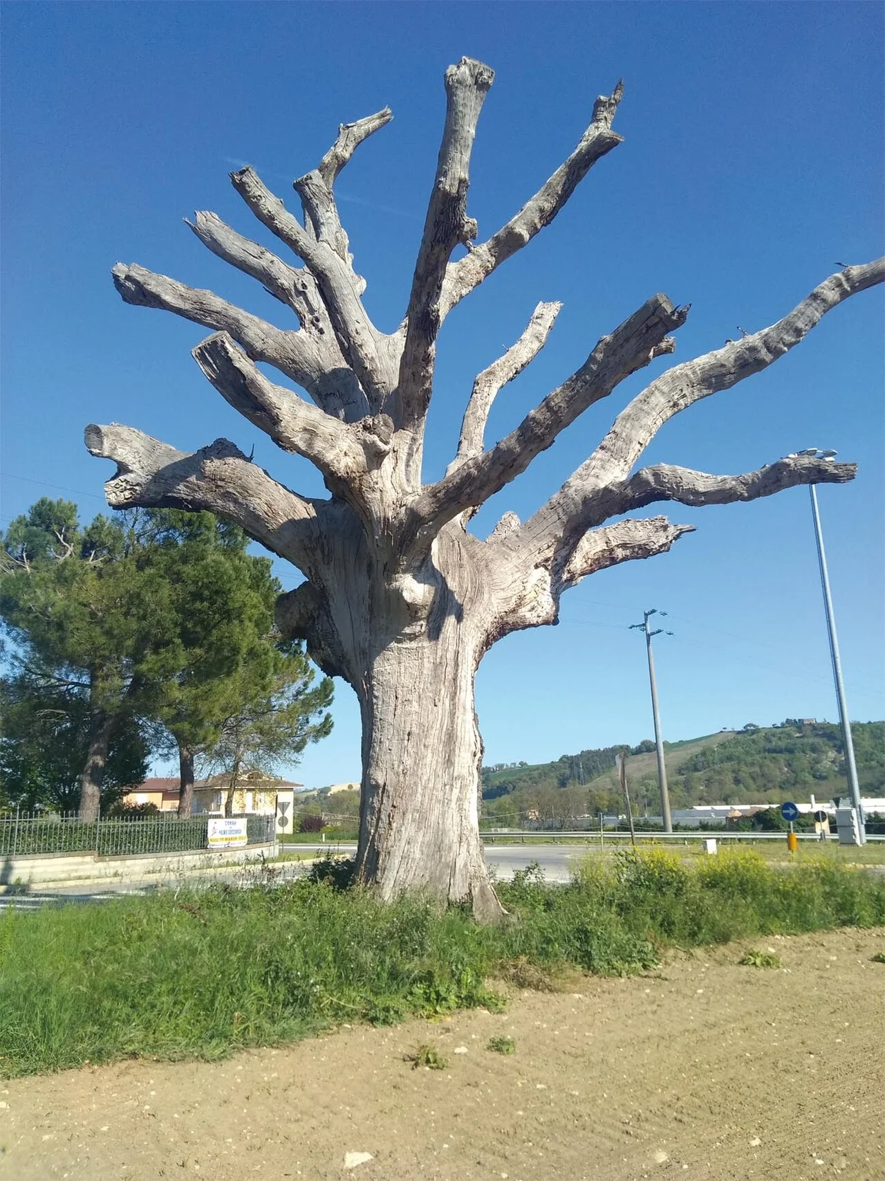 Photo of Piane di Montegiorgio