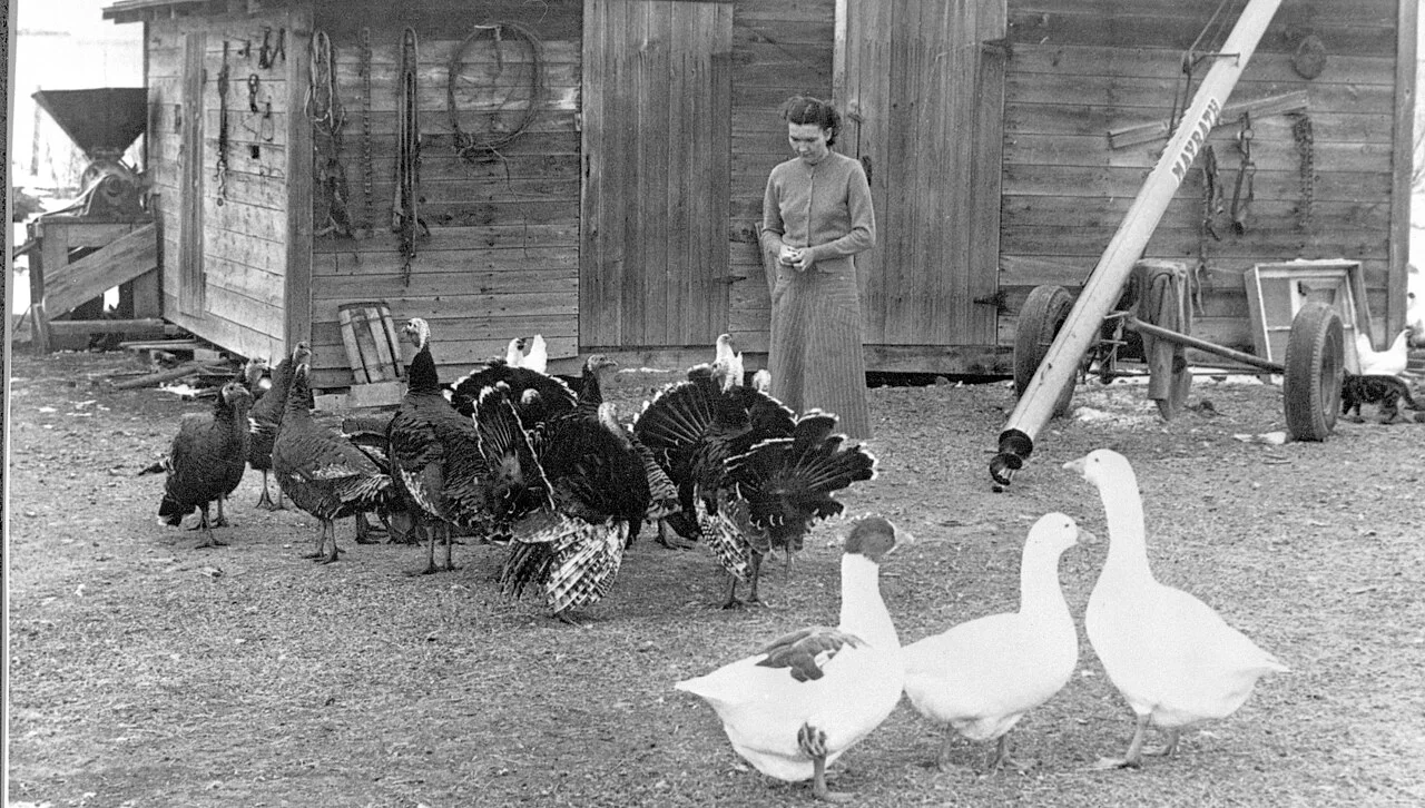 Photo of Picture Butte