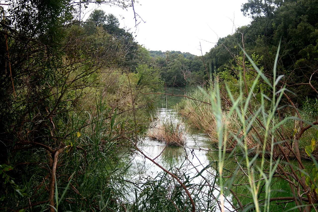 Photo of Pienaarsrivier