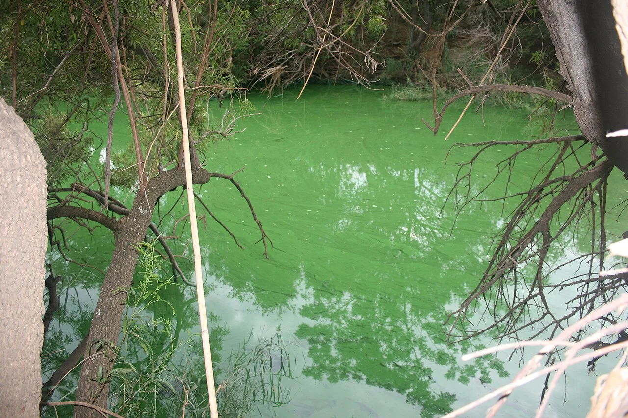 Photo of Pienaarsrivier