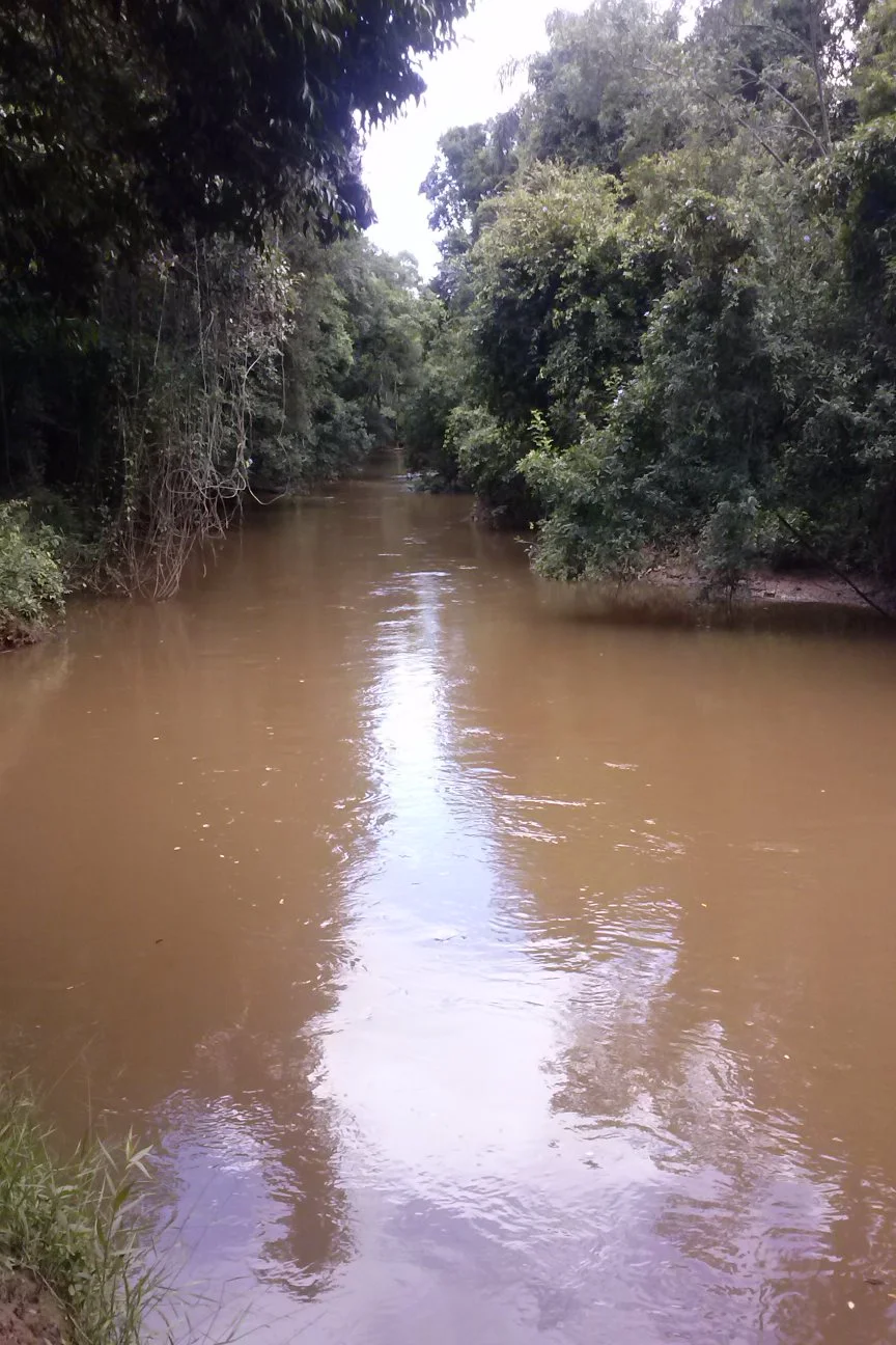 Photo of Pilar do Sul