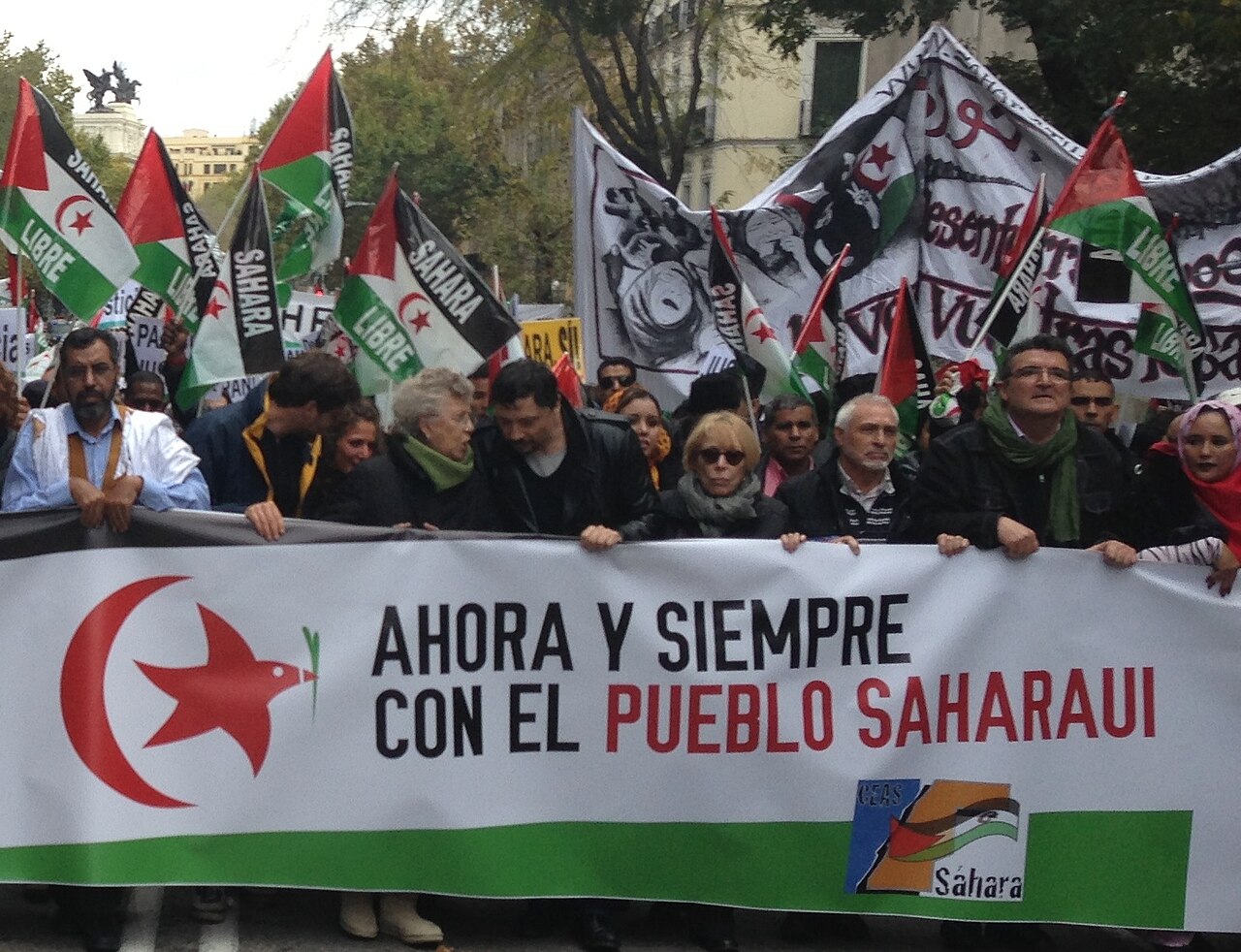 Manifestación Madrid noviembre 2012