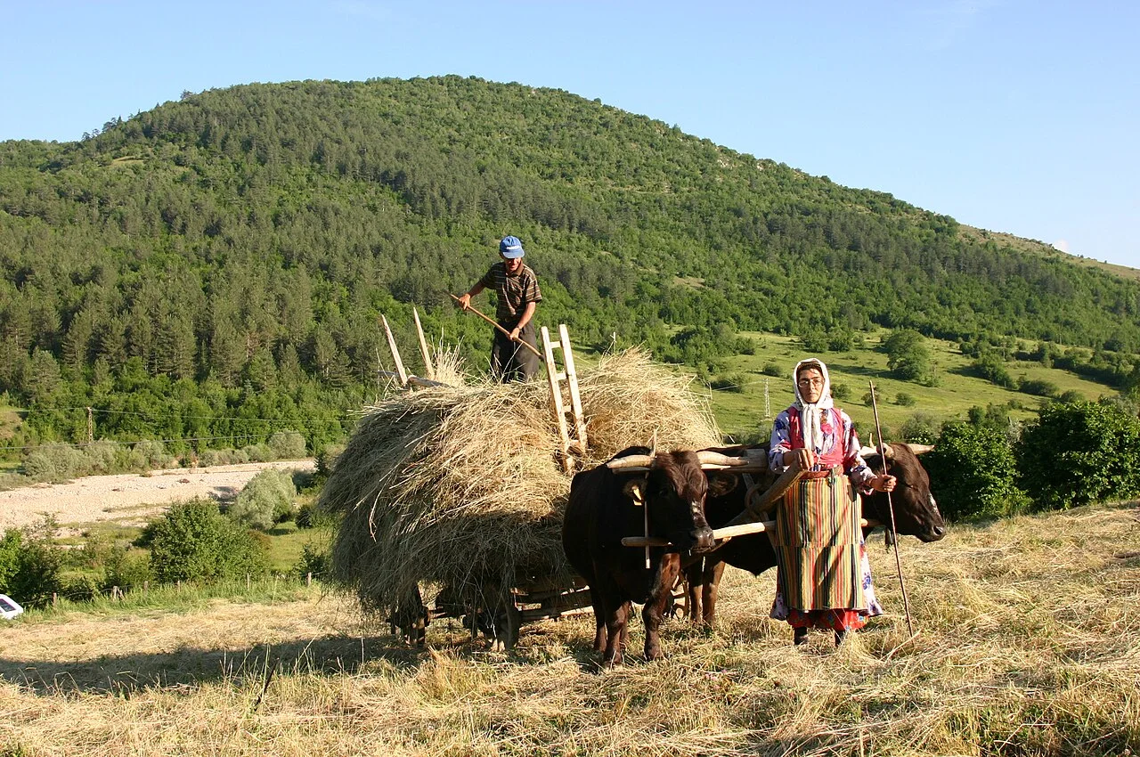 Photo of Pınarbaşı