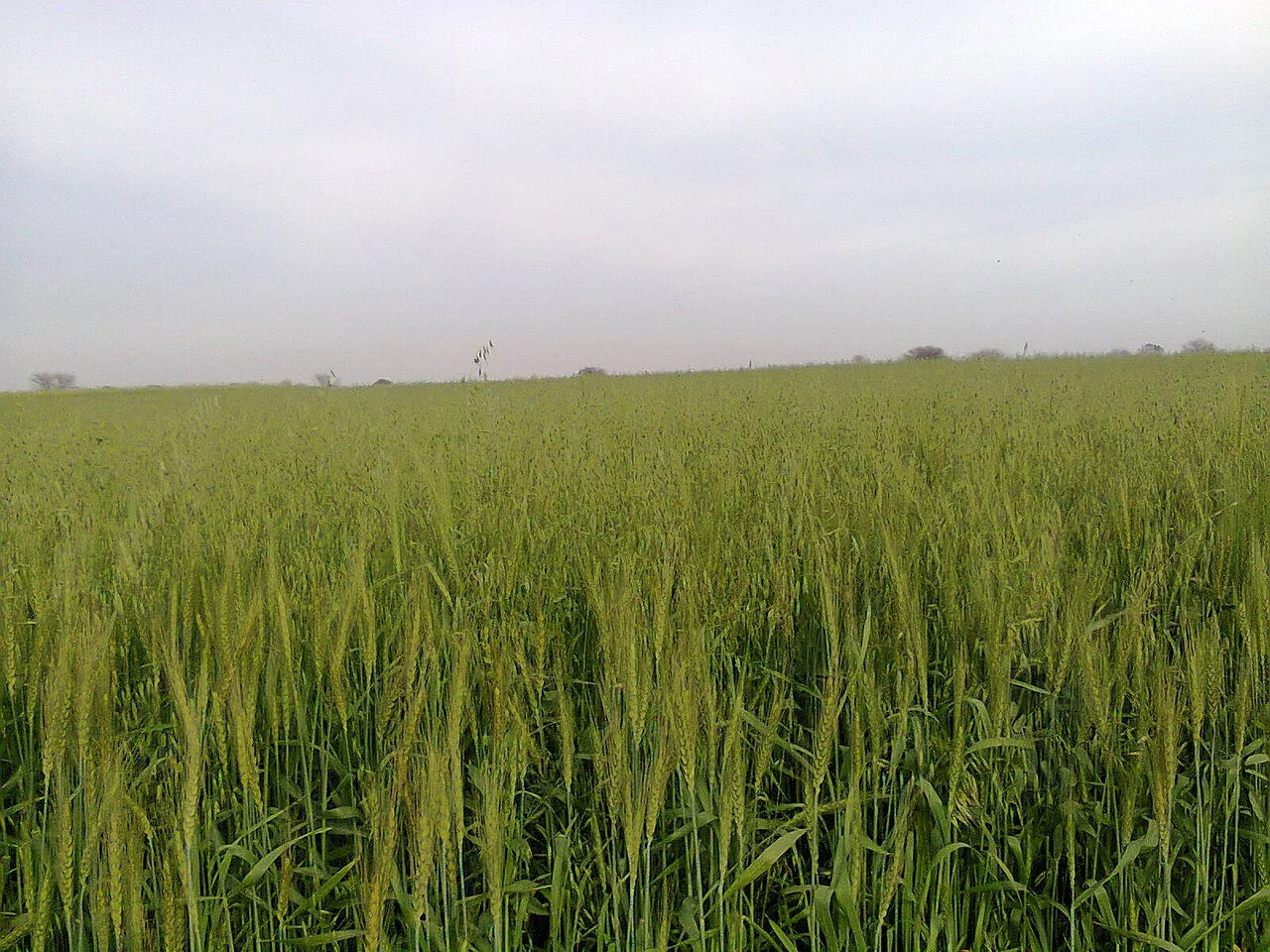 Photo of Pind Dadan Khan