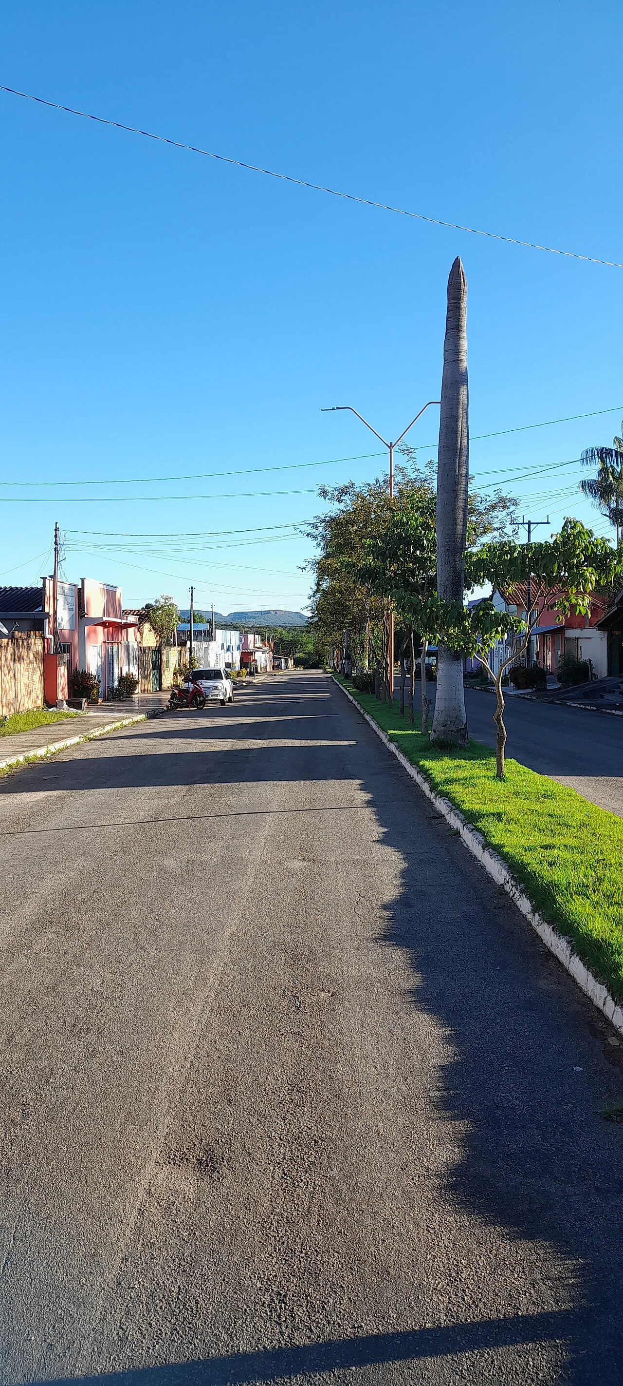 Photo of Pindorama do Tocantins