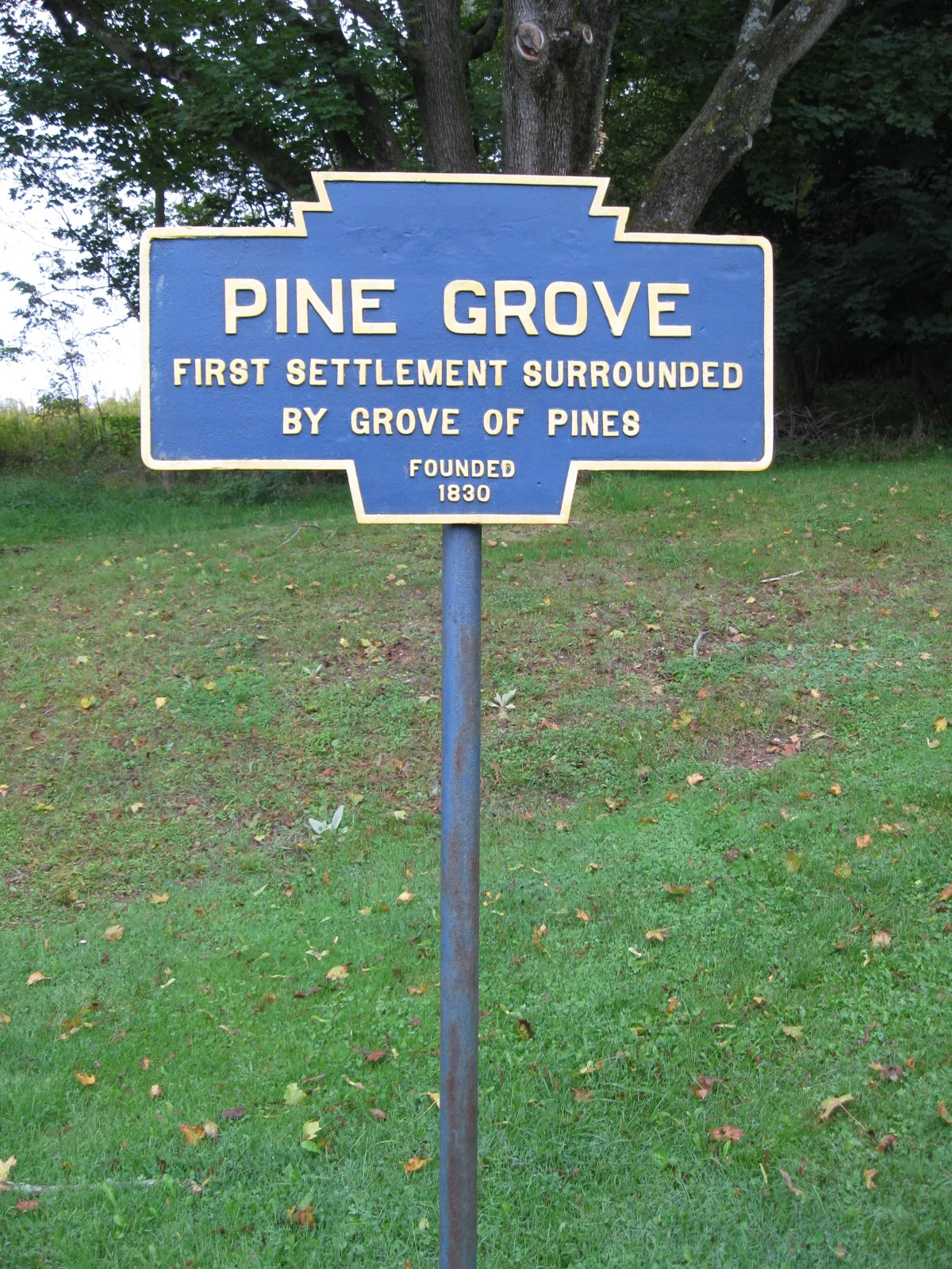 Photo of Pine Grove