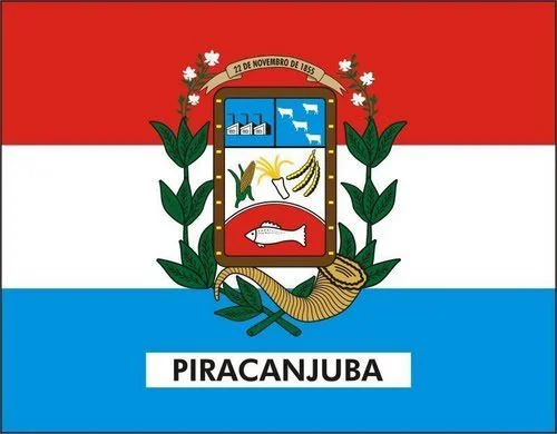 Photo of Piracanjuba