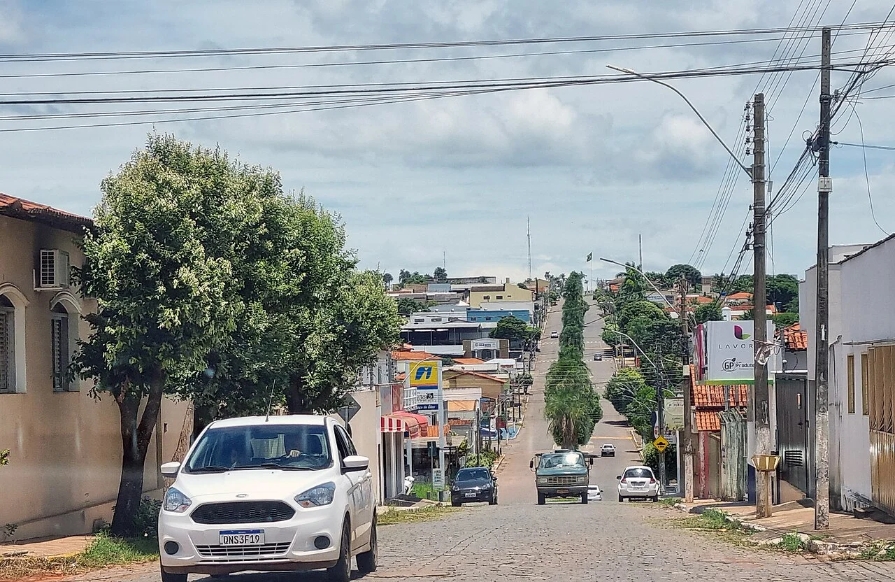 Photo of Piracanjuba