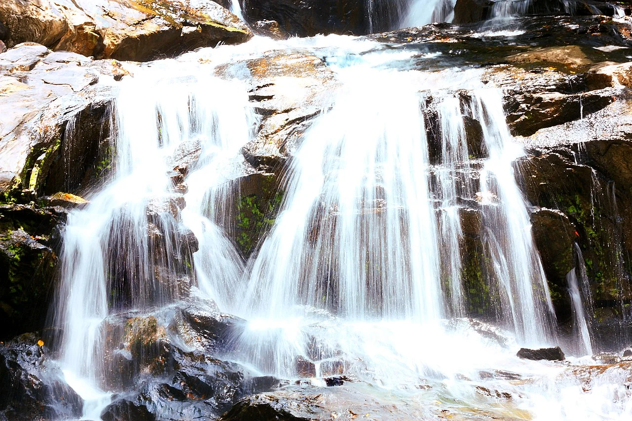 Photo of Pirpirituba