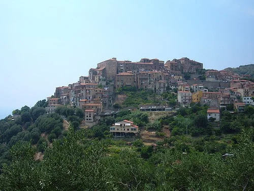 Photo of Pisciotta