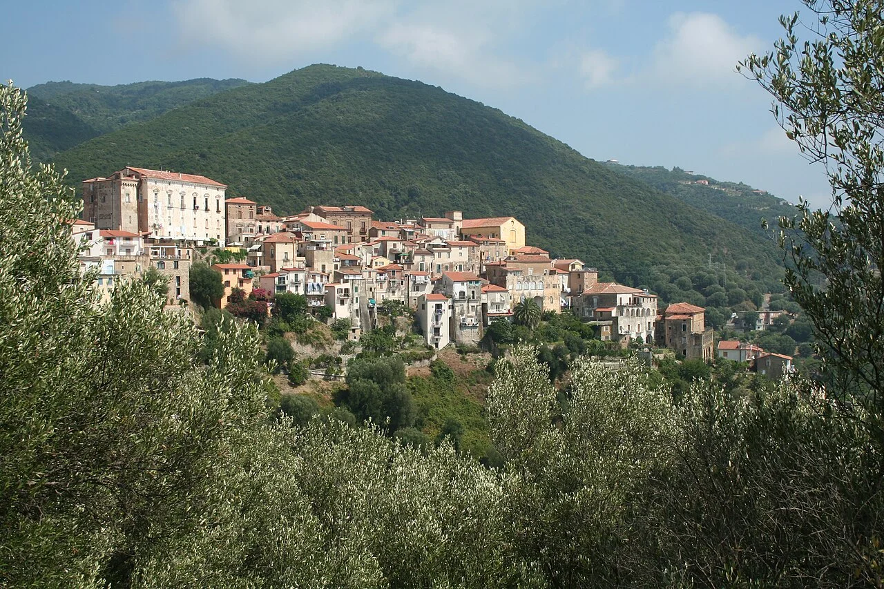 Photo of Pisciotta
