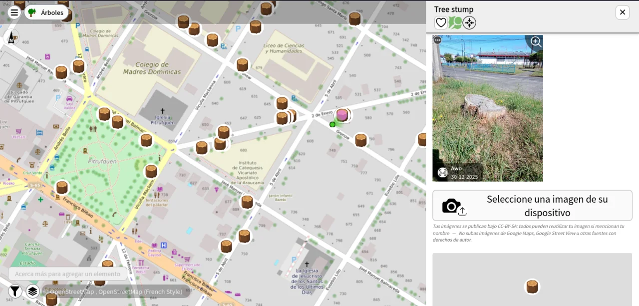 Photo of Pitrufquén