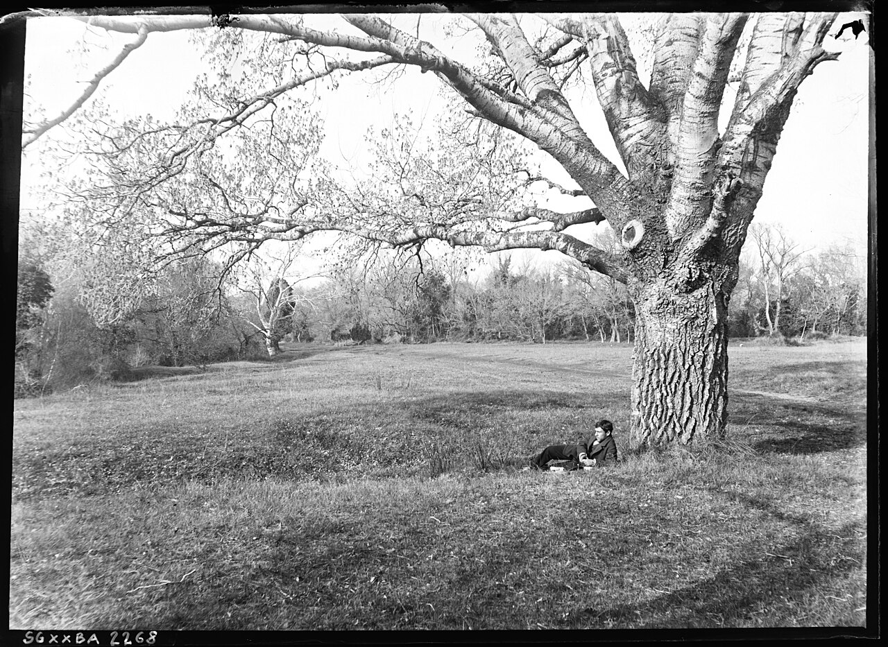 Sujet : Salles, André (1860-1929) -- Autoportraits
Hyères
Paysages -- 1870-1913
Portraits de plein air -- 1870-1913
Appartient à l’ensemble documentaire : PhoVerre5
Couverture : France – Provence-Alpes-Côte-d'Azur – Var

Langue : français