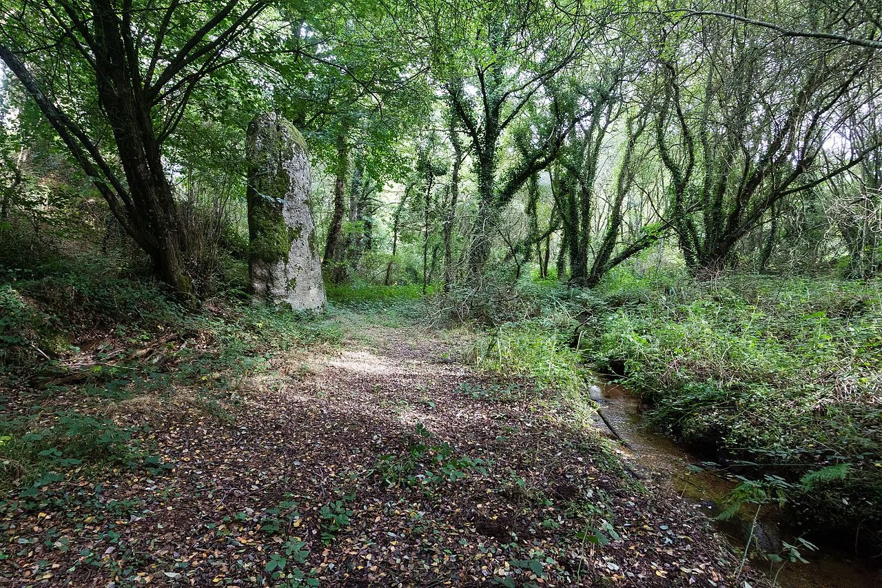 Photo of Plaine-Haute