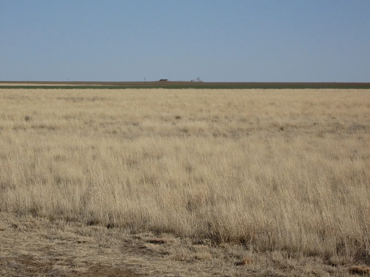 Photo of Plains