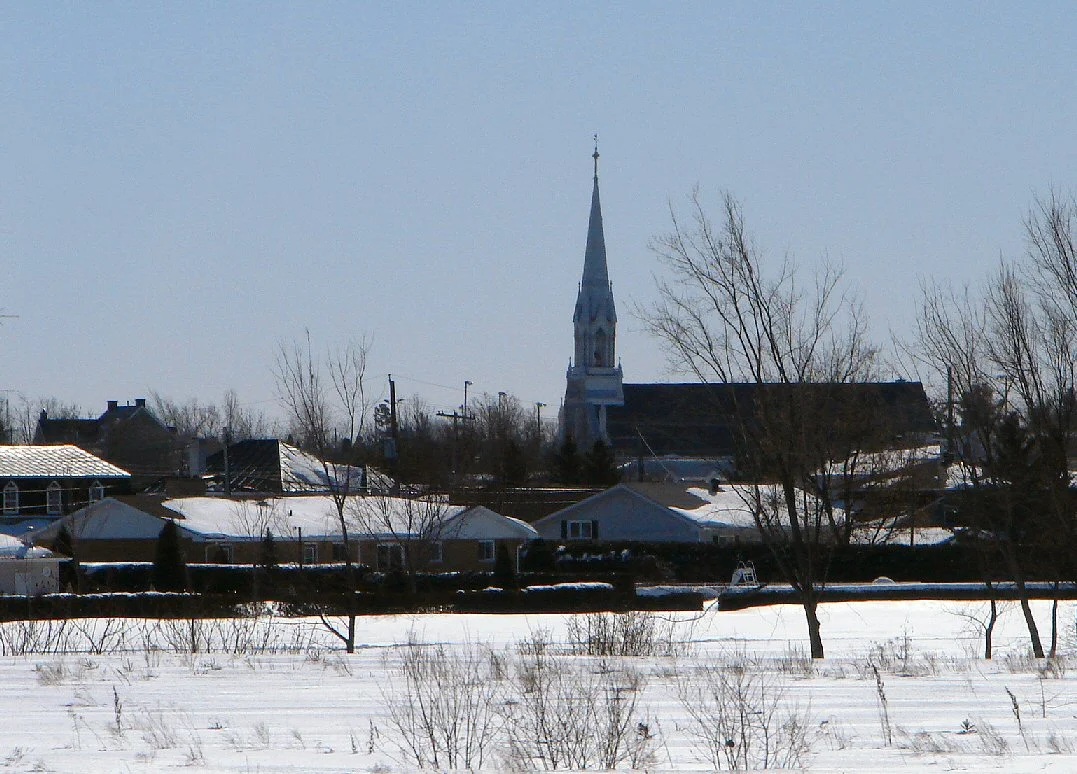 Photo of Plantagenet