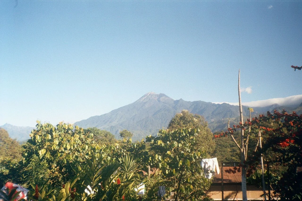 Photo of Platanillo