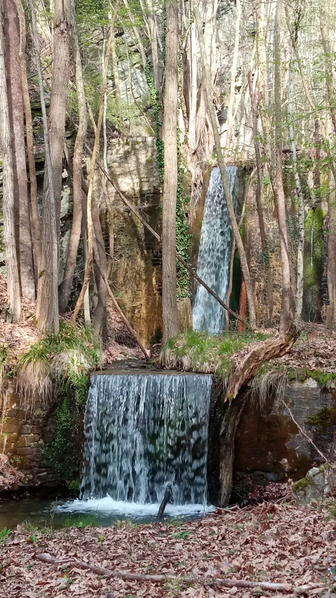 Photo of Platanórevma