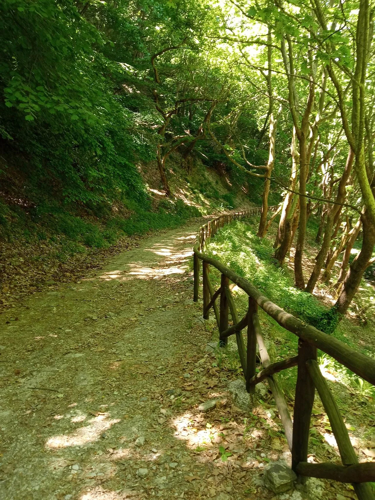 Photo of Platanórevma