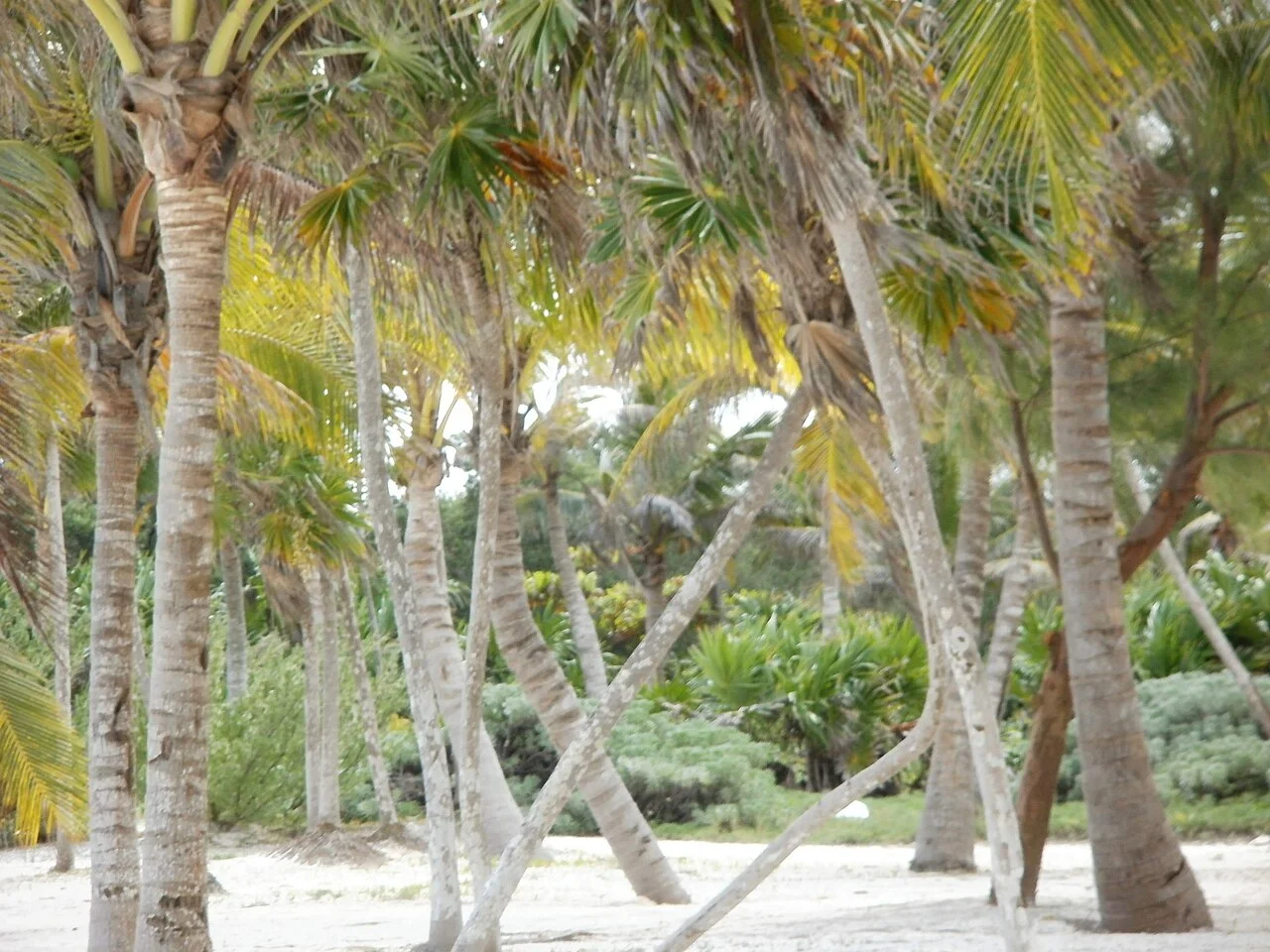 Photo of Playa del Carmen